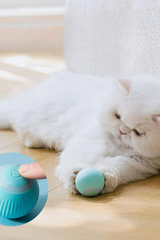 Rotating Cat Toy Ball