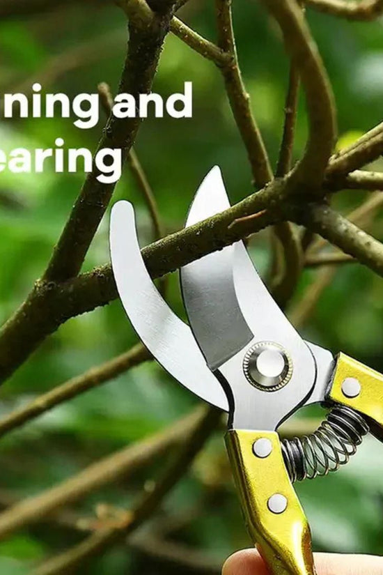 Gardening Tools - Garden Shears Pruners Scissor ( Multicolor) - 1 Piece