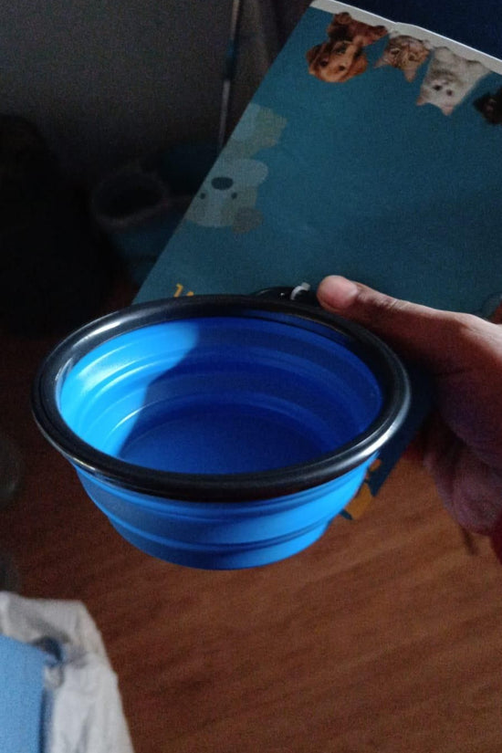 Foldable Silicone Pet Feed Bowl