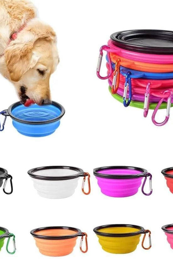 Foldable Silicone Pet Feed Bowl