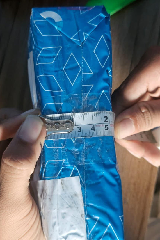 Cowrie Shell Design Tealight Holder Pack of 2