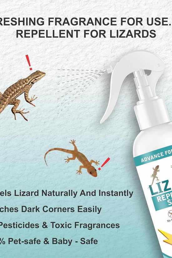 Lizard Repellent for Home Spray Pest Control 250ML (Pack of 2)