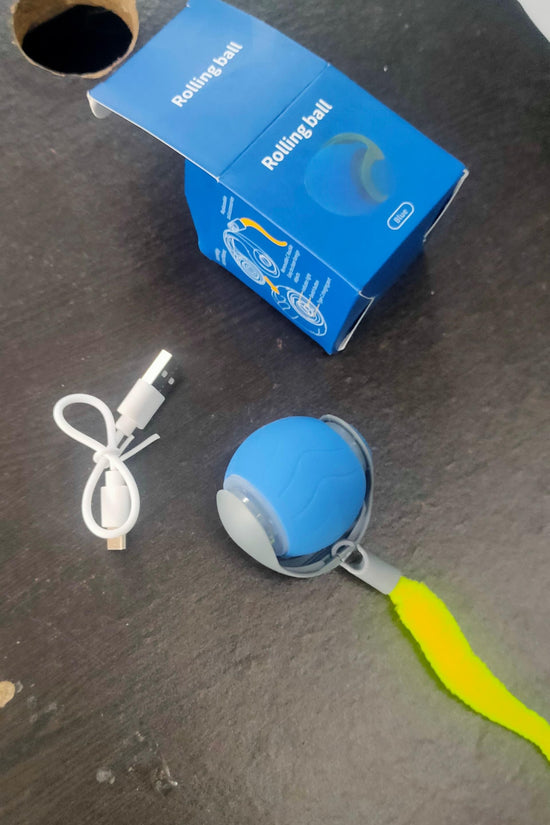 Rolling Ball Cat Toy