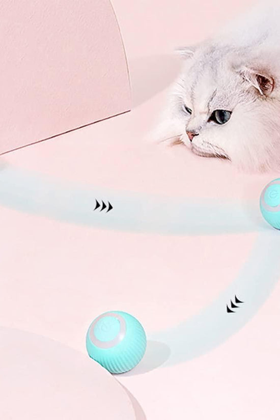 Rotating Cat Toy Ball