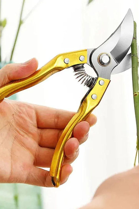 Gardening Tools - Garden Shears Pruners Scissor ( Multicolor) - 1 Piece