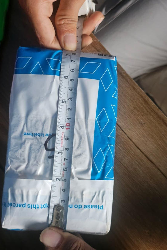 Cowrie Shell Design Tealight Holder Pack of 2