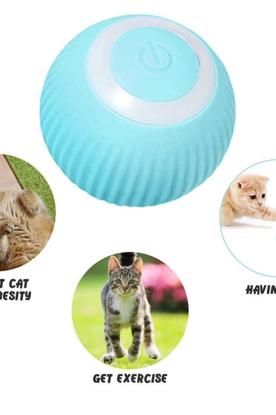 Rotating Cat Toy Ball