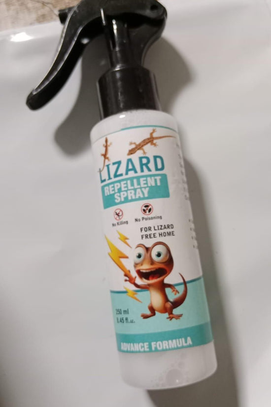 Lizard Repellent for Home Spray Pest Control 250ML (Pack of 2)