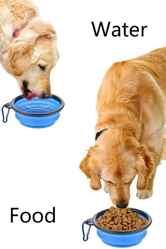 Foldable Silicone Pet Feed Bowl