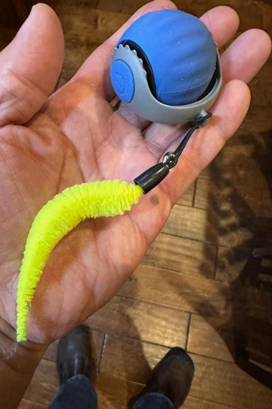 Rolling Ball Cat Toy