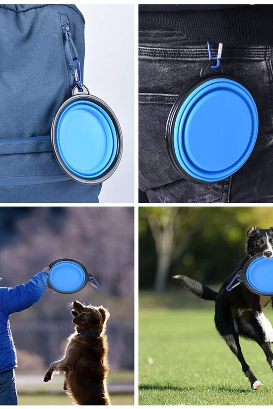 Foldable Silicone Pet Feed Bowl
