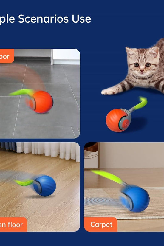 Rolling Ball Cat Toy
