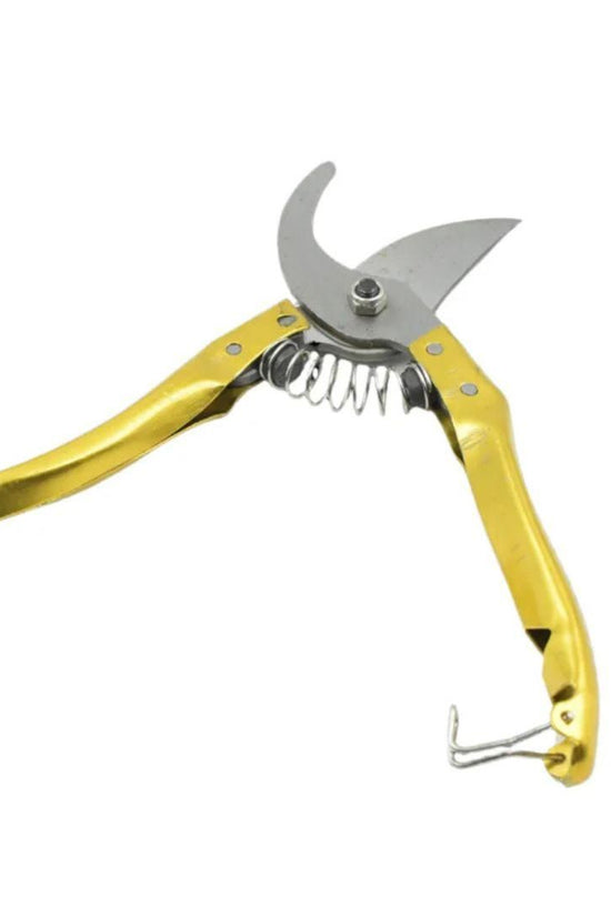 Gardening Tools - Garden Shears Pruners Scissor ( Multicolor) - 1 Piece