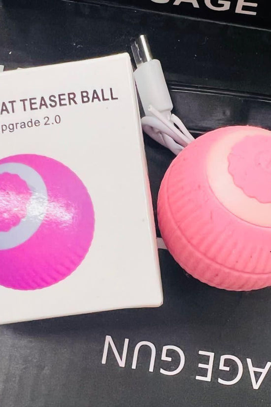 Rotating Cat Toy Ball