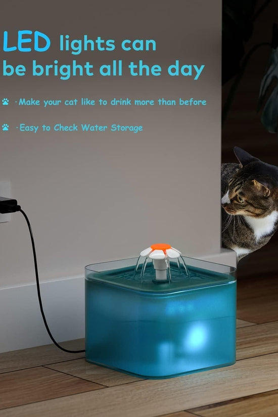 2L Small Pet Water Fountain for Kitten & Small Dogs