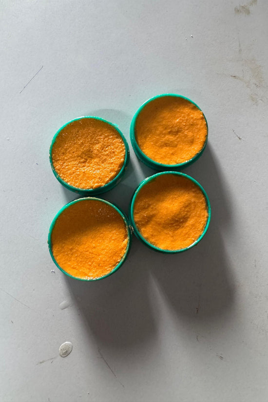 Cockroach Killer Powder Gel (Pack of 24pc)