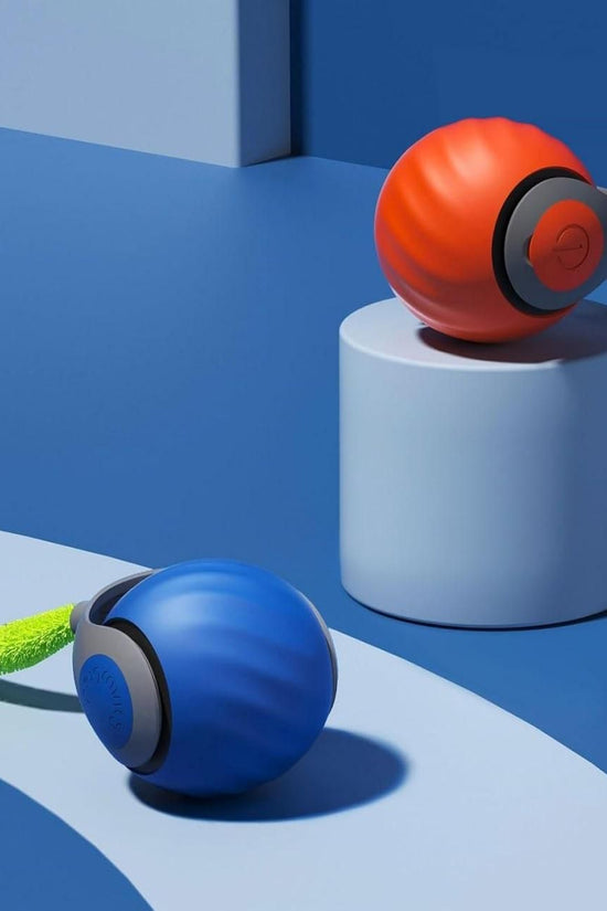 Rolling Ball Cat Toy