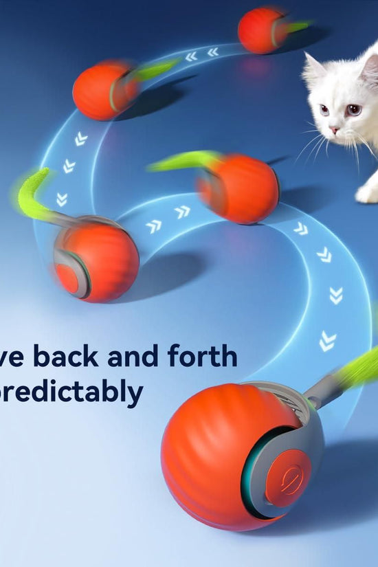 Rolling Ball Cat Toy