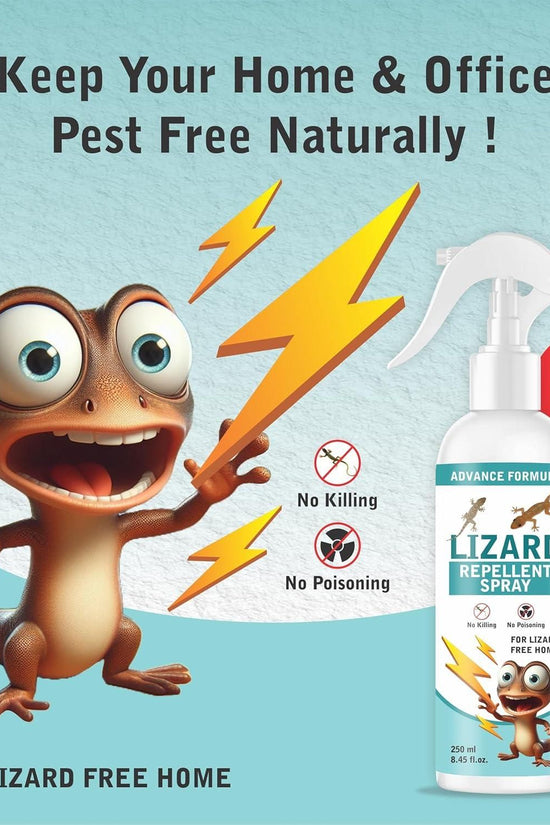 Lizard Repellent for Home Spray Pest Control 250ML (Pack of 2)