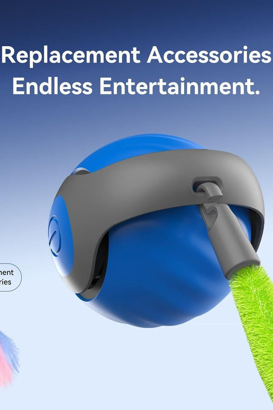 Rolling Ball Cat Toy