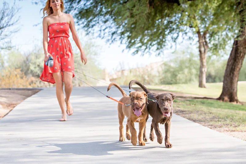 Retractable Dual Doggie Leash with LED Light