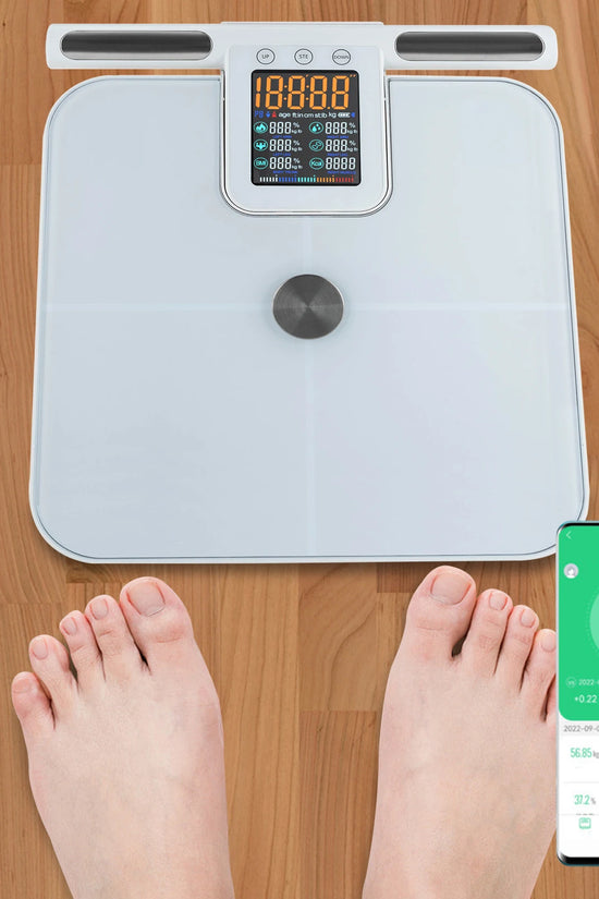 Body Fat Scale