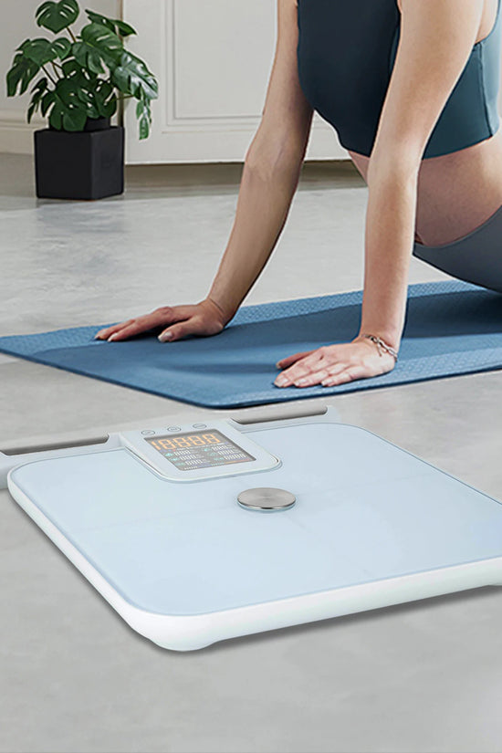 Body Fat Scale